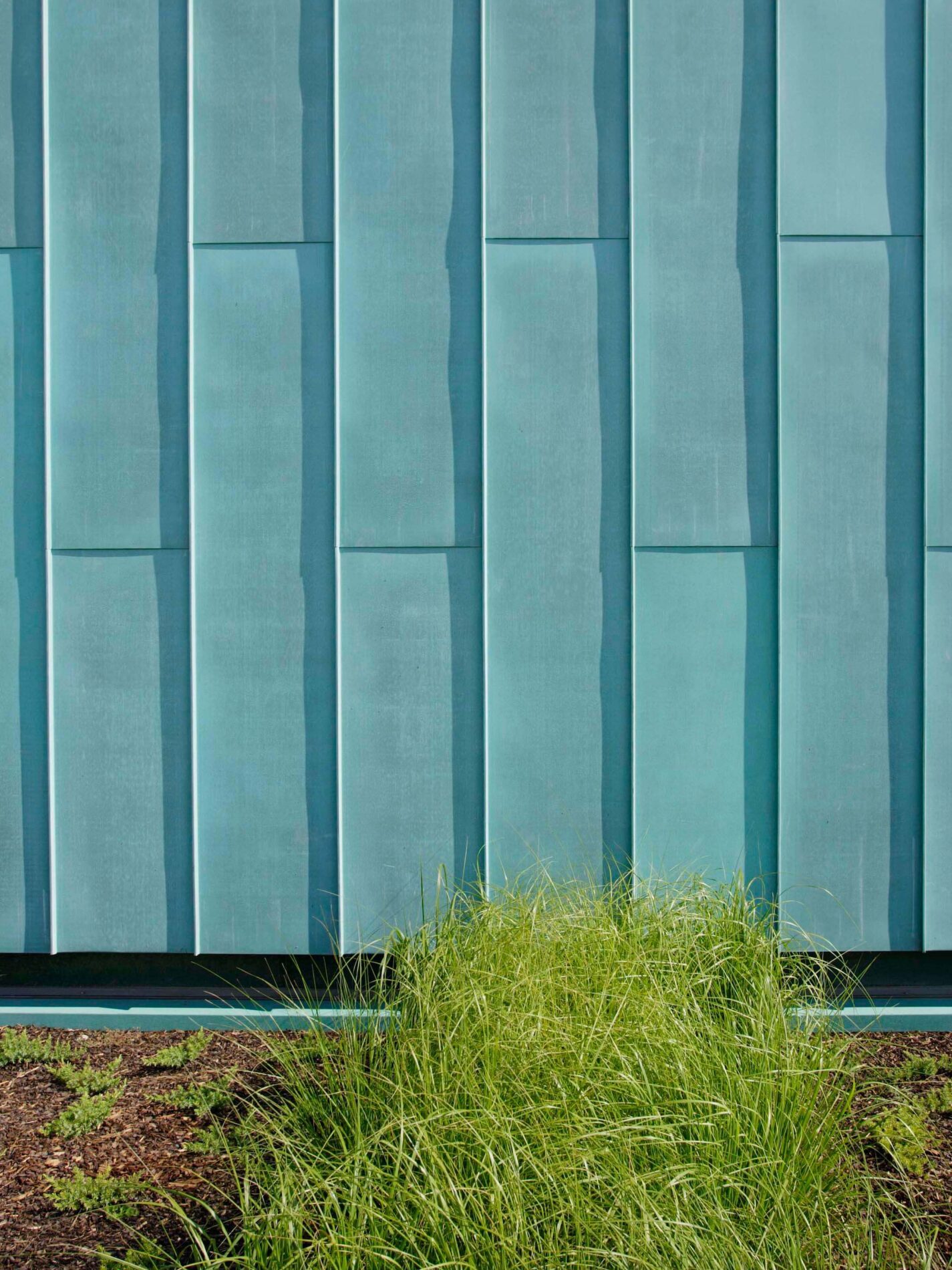 Standing seam oxidised copper facade treatment, grasses in the foreground