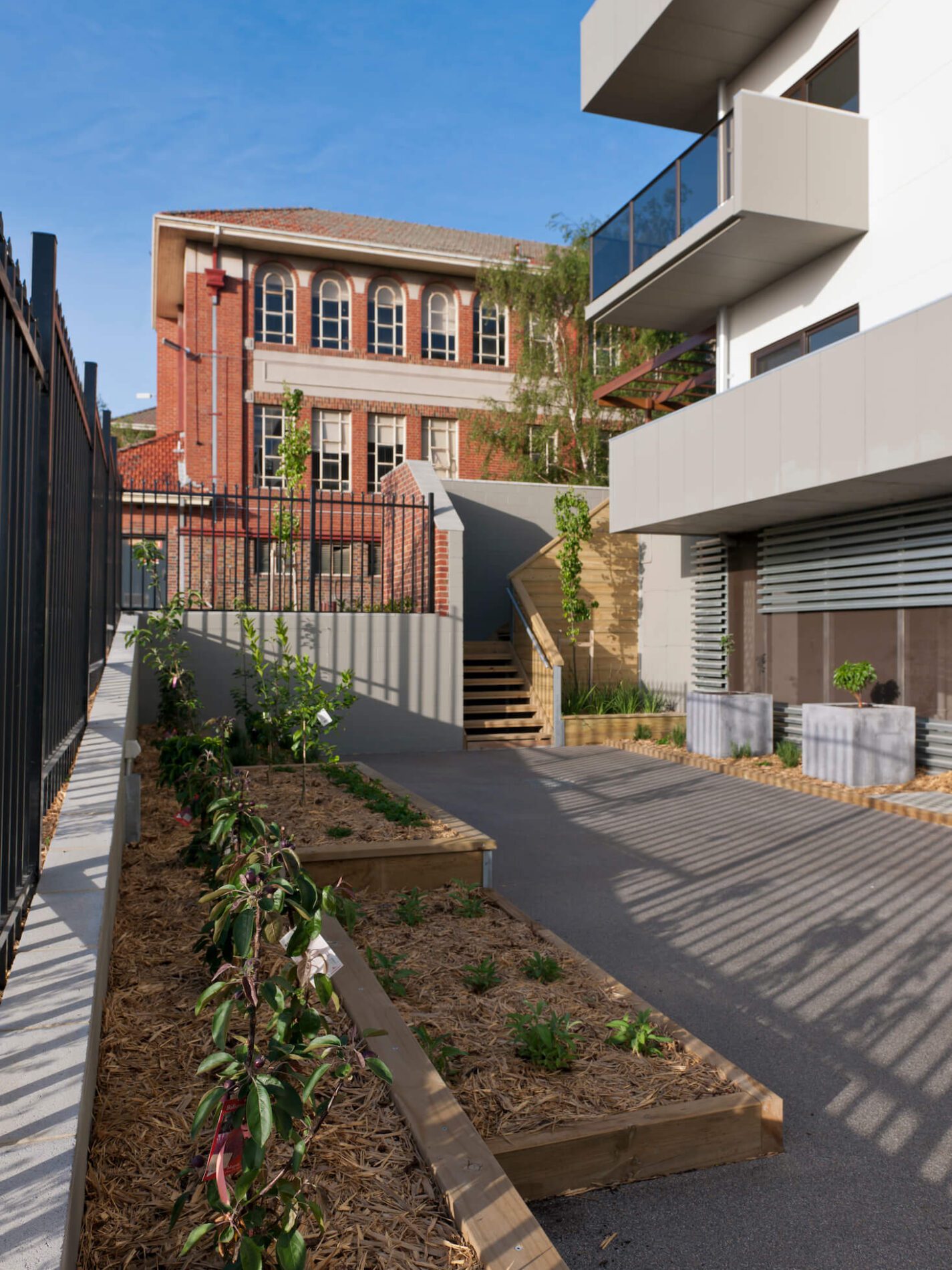 Landscaped courtyard garden below new apartments