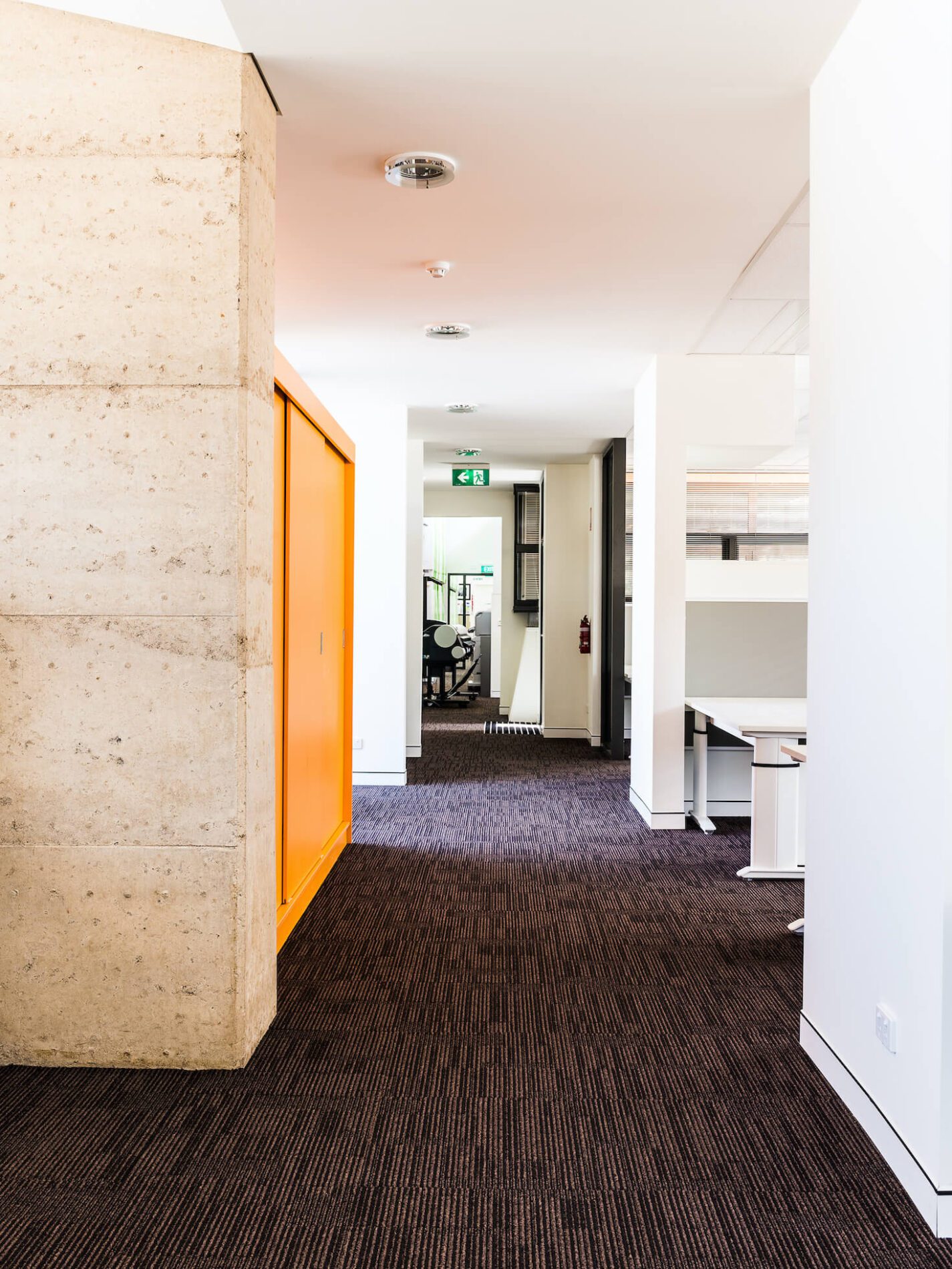 Interior shot of government office hallway with carpet and stone wall, orange cabinet