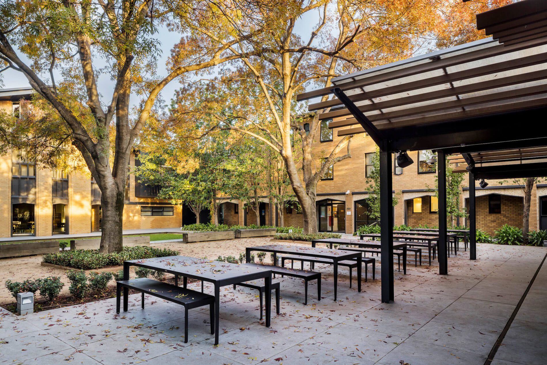 Outdoor dining tables and chairs in student residence courtyard with large existing trees