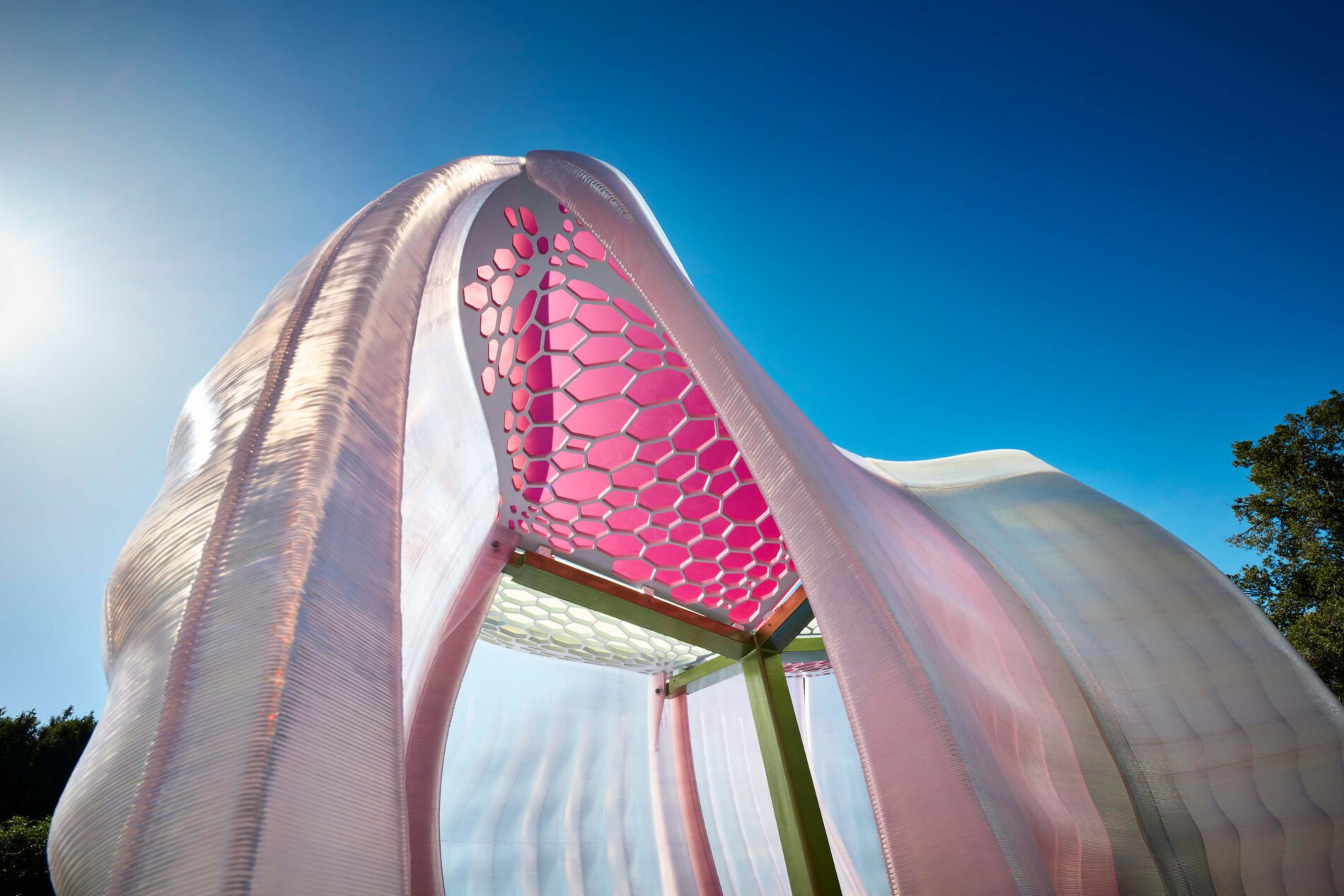 Organic pink formed structure with blue sky behind